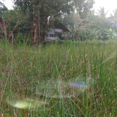 Lake Cabin Polonnaruwa Buitenkant foto