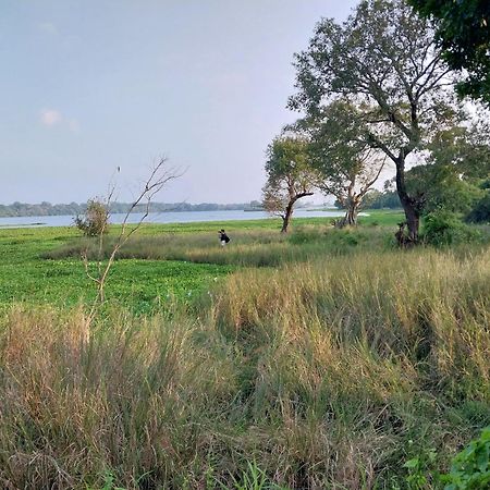 Lake Cabin Polonnaruwa Buitenkant foto
