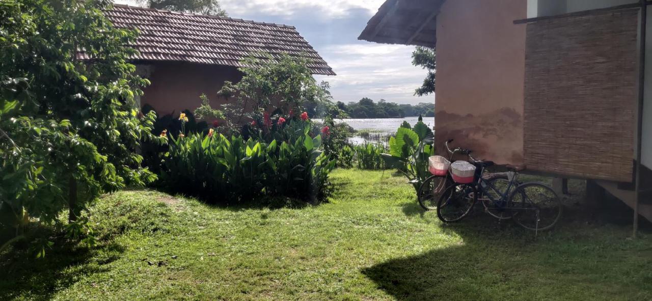Lake Cabin Polonnaruwa Buitenkant foto