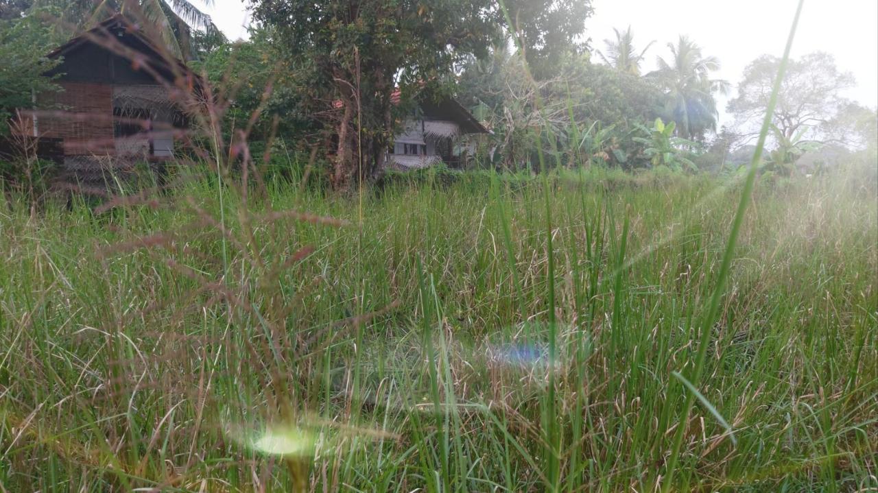 Lake Cabin Polonnaruwa Buitenkant foto
