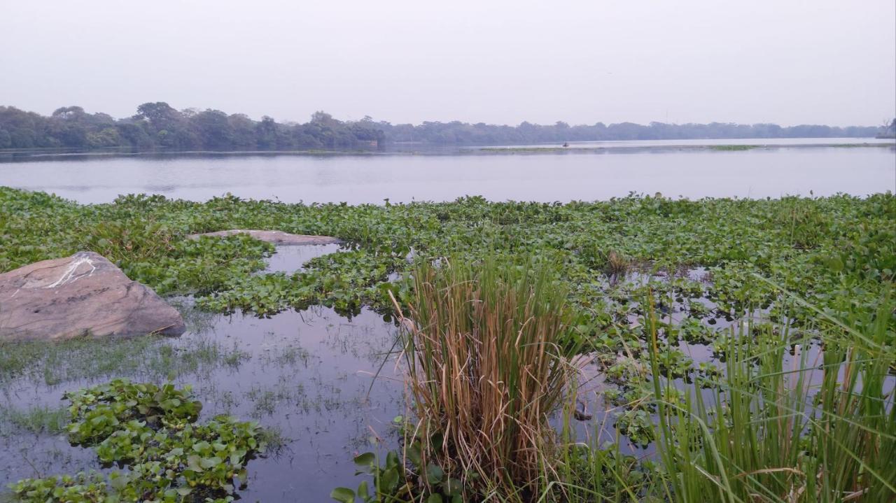 Lake Cabin Polonnaruwa Buitenkant foto