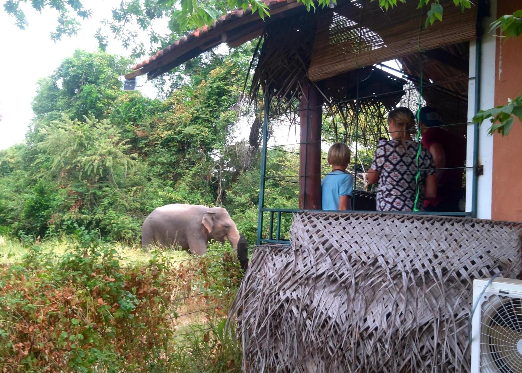 Lake Cabin Polonnaruwa Buitenkant foto
