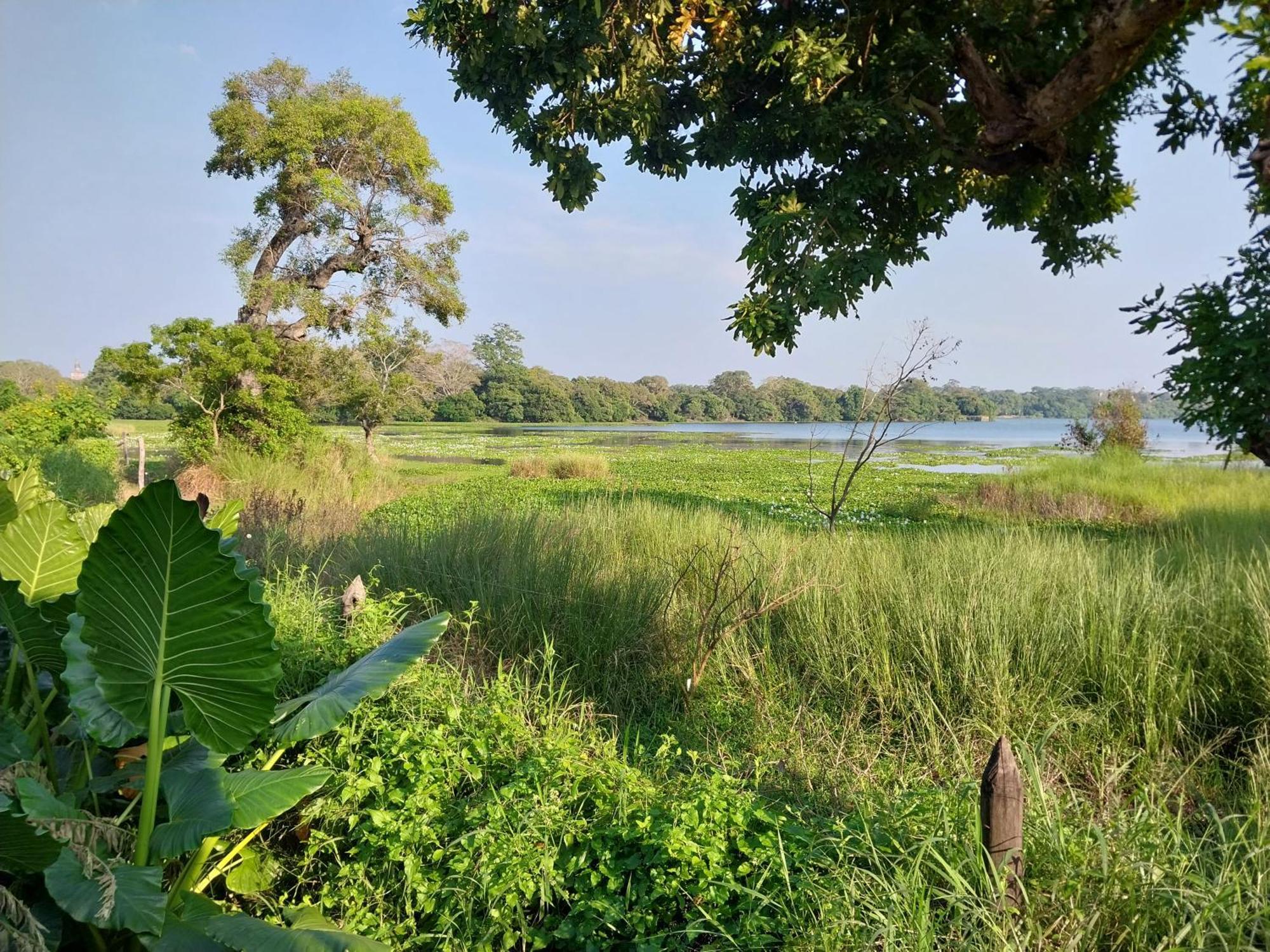 Lake Cabin Polonnaruwa Buitenkant foto