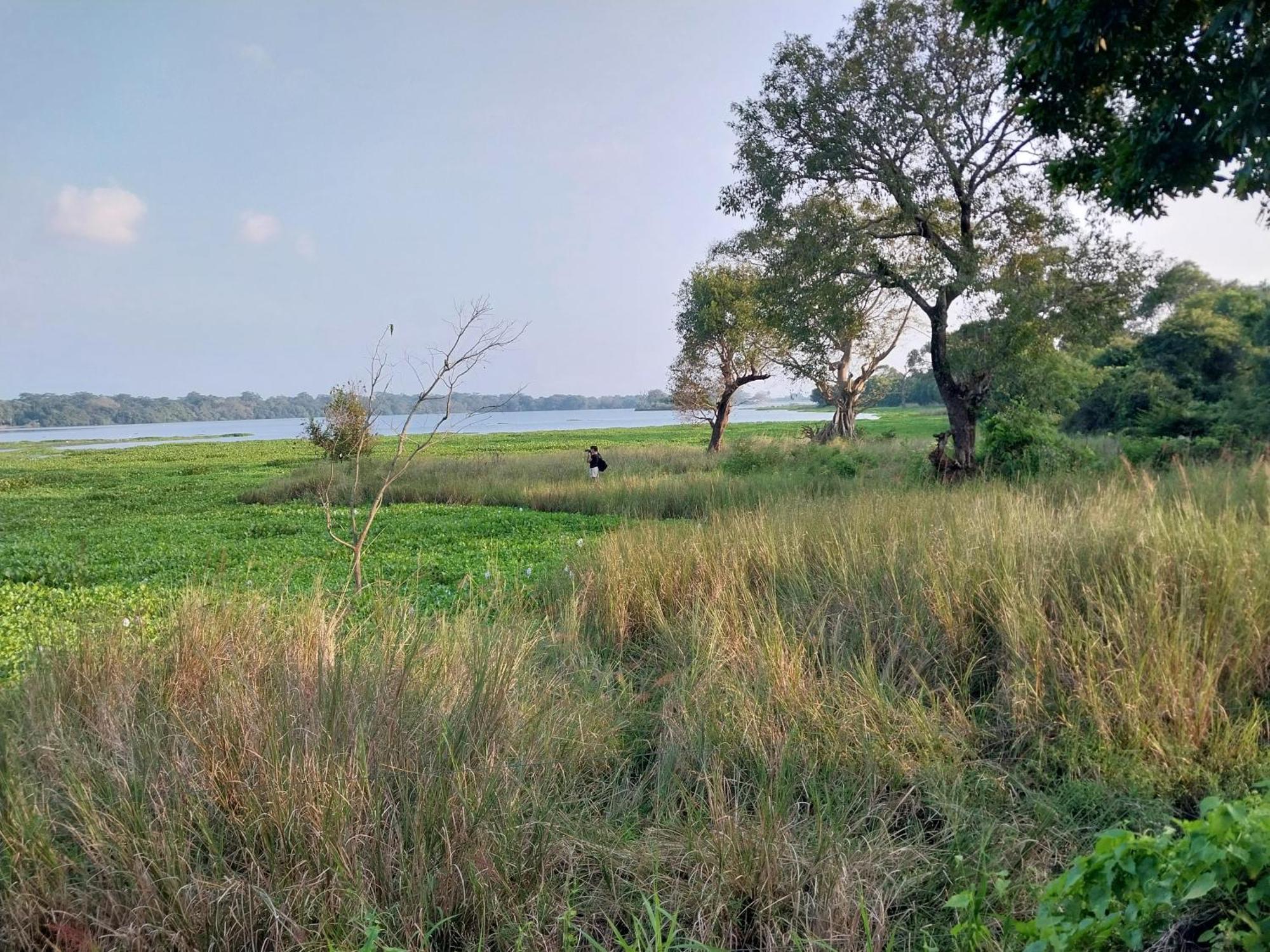 Lake Cabin Polonnaruwa Buitenkant foto