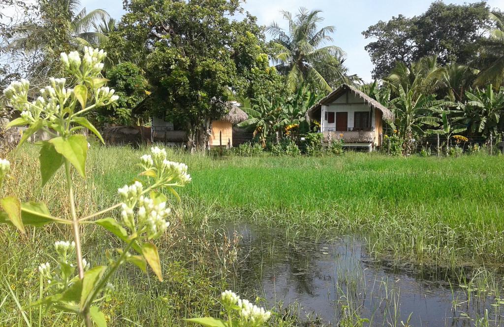 Lake Cabin Polonnaruwa Buitenkant foto