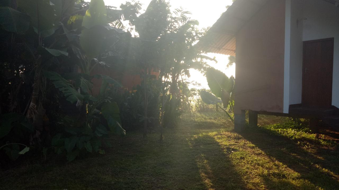 Lake Cabin Polonnaruwa Buitenkant foto