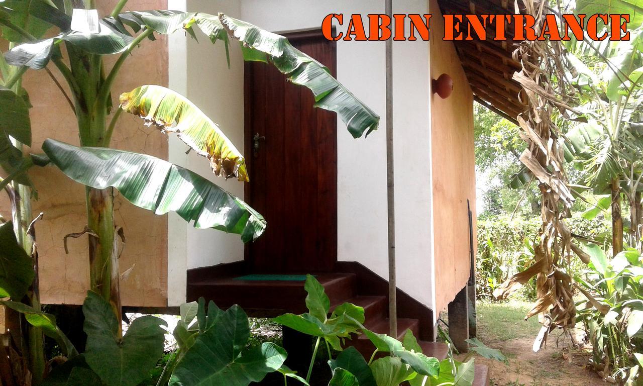 Lake Cabin Polonnaruwa Buitenkant foto