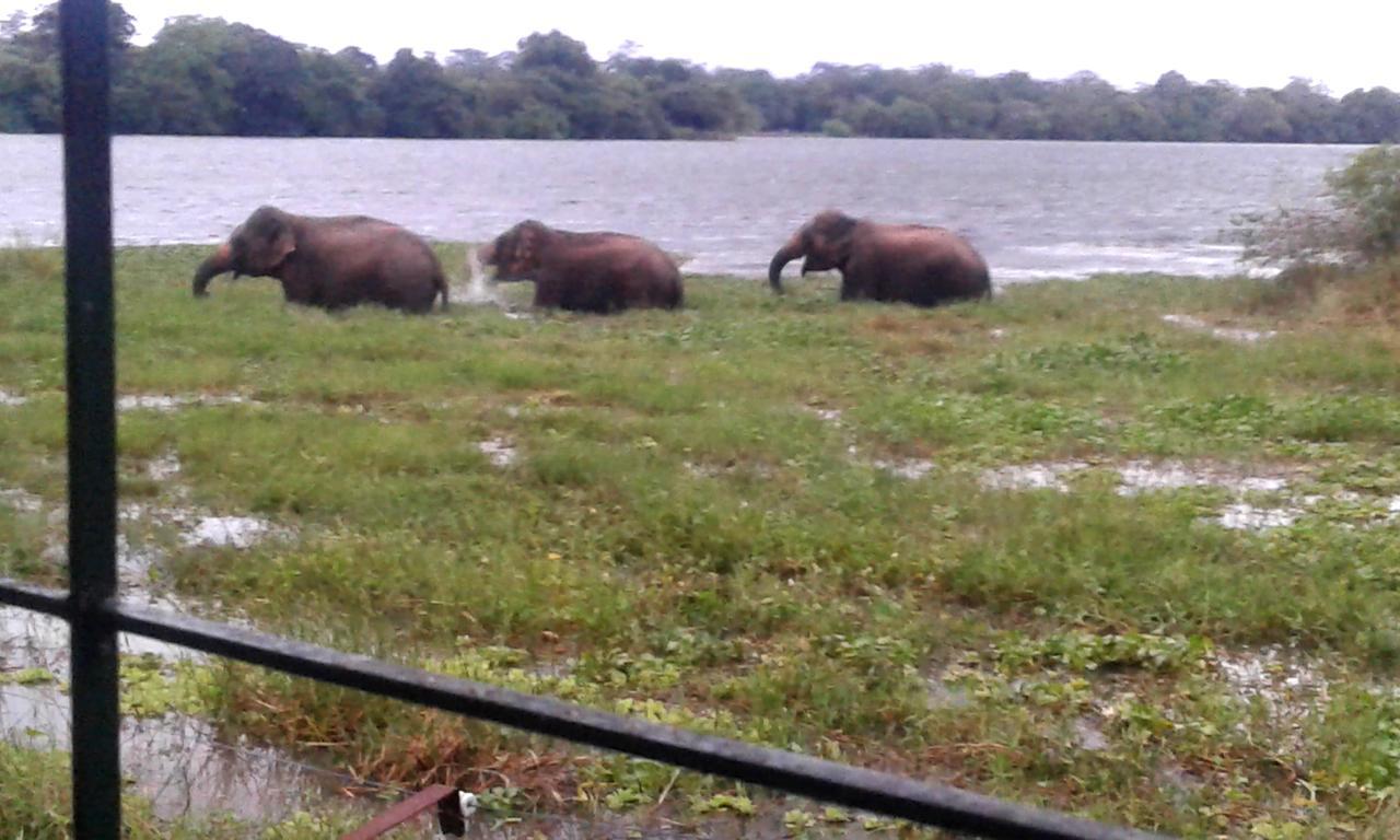 Lake Cabin Polonnaruwa Buitenkant foto